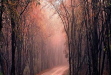 切尔西主场遭遇平局，球队状态反复