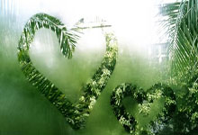 狼队连胜告急，冲超任务艰巨