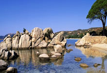 保罗复出助球队取胜，表现出色